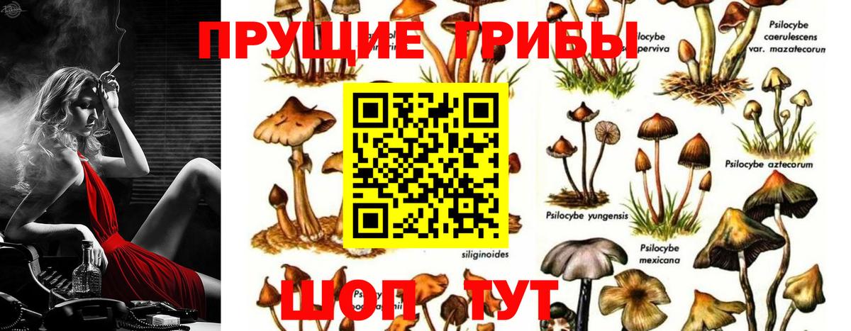 Псилоцибиновые грибы Psilocybine cubensis  даркнет сайт  Верхний Уфалей  Вход с VPN 